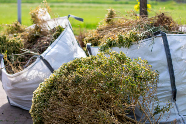 Best Estate Cleanout  in Le Sueur, MN